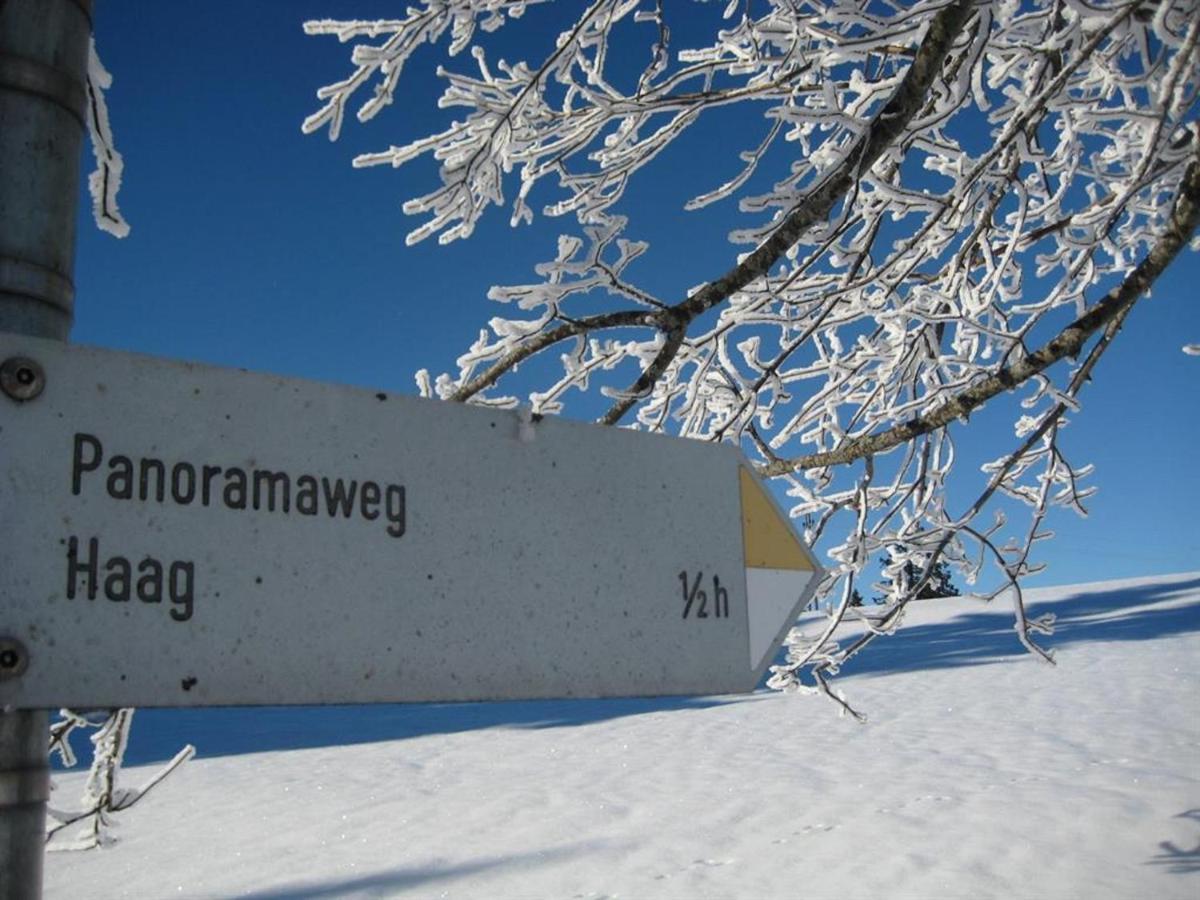 Apartament Haus Panorama Oy-Mittelberg Zewnętrze zdjęcie